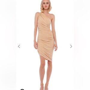 Norma Kamali Long Sleeve Dana Dress Con Leche Size XXS